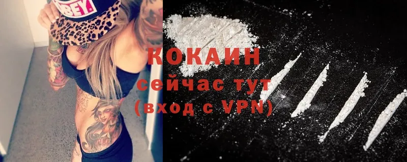 где купить наркоту  Владивосток  Cocaine Fish Scale 